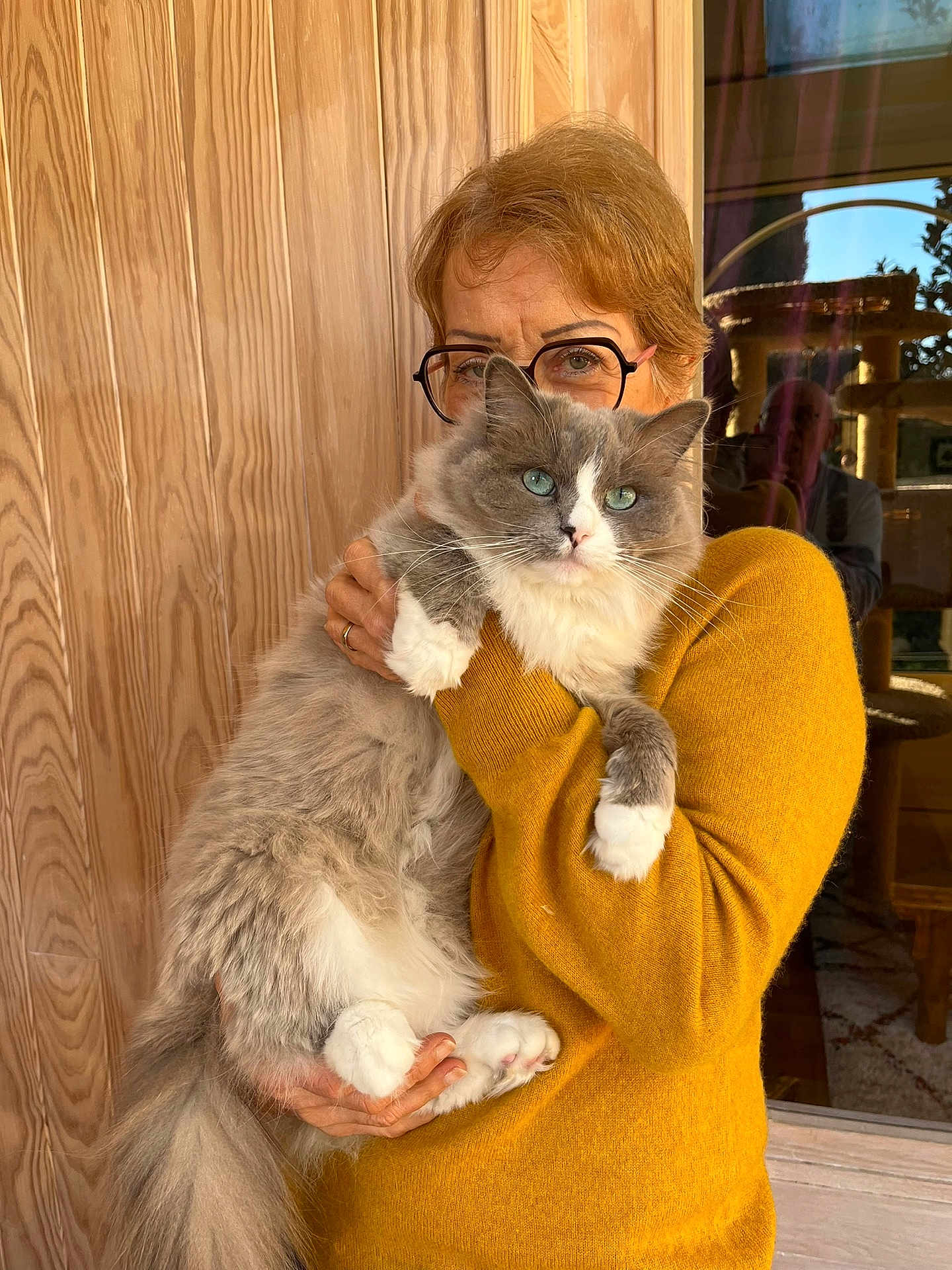 Tymka a rejoint le concours — aidez-le/la à gagner de superbes lots ! animal, blue_eyes, casual, cat, cozy, feline, fluffy_cat, glasses, gray_cat, holding, indoor, mustard_sweater, person, pet, portrait, reflection, warm_colors, white_paws, window, wooden_wall