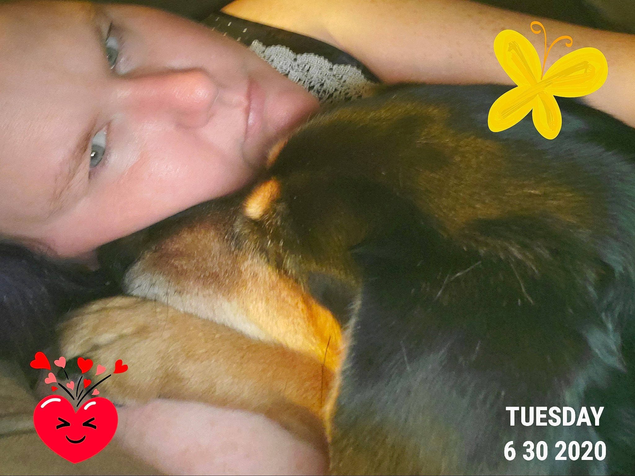 Lucy-loo is registered to the contest to win money with this photo: canidae, carnivore, child, dog, dog_breed, ear, miniature_pinscher, mouth, nose, photo_caption, puppy_love, skin