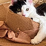 animal, black_and_white, cat, closeup, cozy, cute, fabric, feline, floral, green_eyes, hat, indoor, pet, pink_nose, relaxed, resting, snuggling, soft_lighting, straw_hat, texture