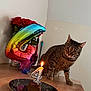 animal, balloon, birthday_candle, cake, cat, celebration, curious, domestic_cat, feline, flower_bouquet, indoor, lit_candle, number_4, pet, plate, red_roses, stripe_pattern, tabby_cat, tabletop, wooden_table