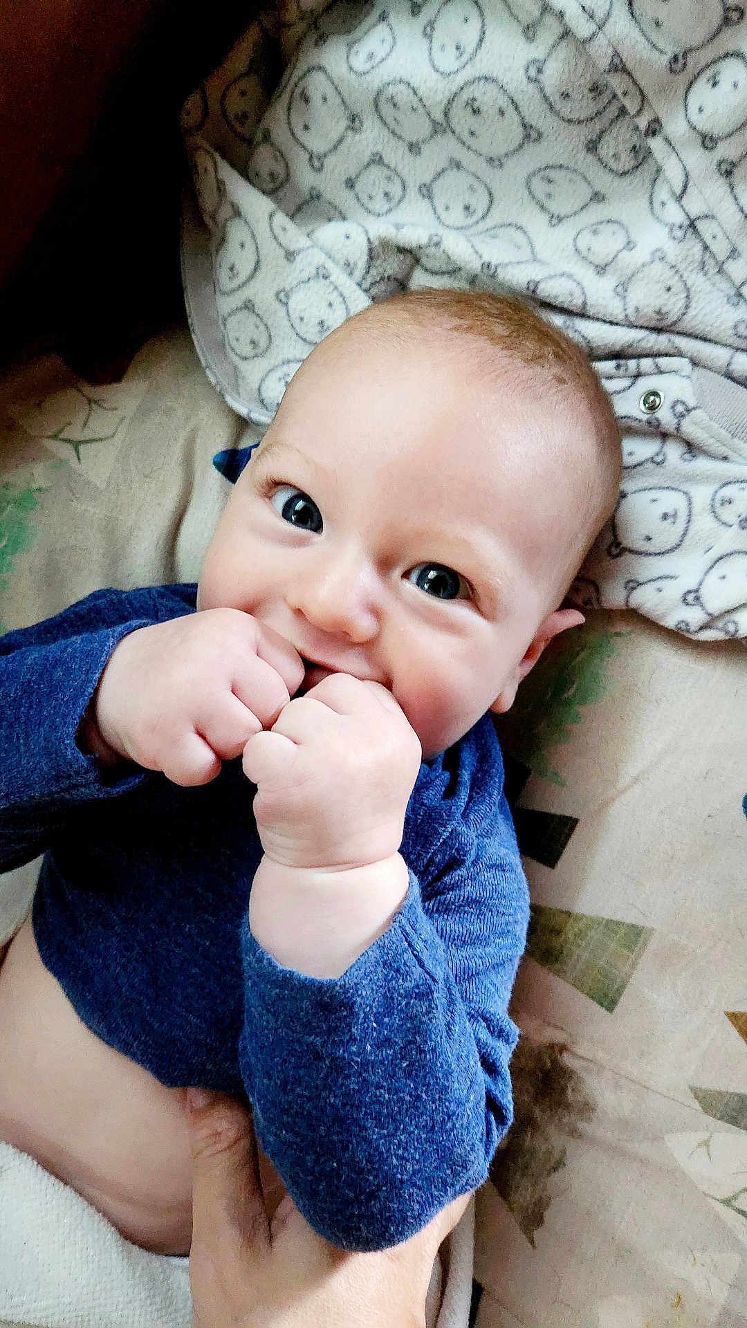 Constantine joined the competition — help win amazing prizes! baby, infant, blue_sweater, cheeks, hands, fists, smiling, eyes, blanket, animal_print, cozy, cute, portrait, child, indoor, happy, skin, person, cute_expression, toddler