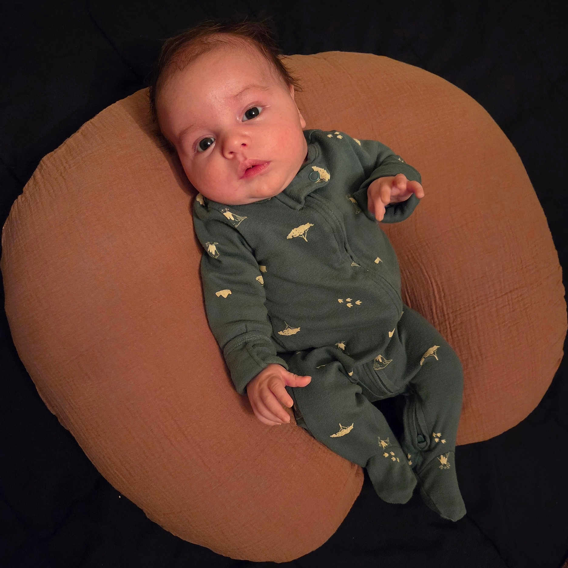 Julian is registered to the contest to win money with this photo: baby, infant, onesie, green_clothing, pillow, soft_furniture, face, portrait, child, cute, indoor, resting, looking, hands, feet, cozy, sleepwear, newborn, expression, comfortable
