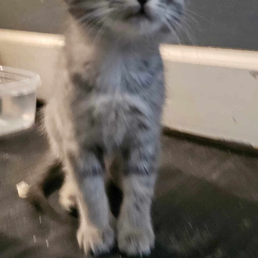 Charlie