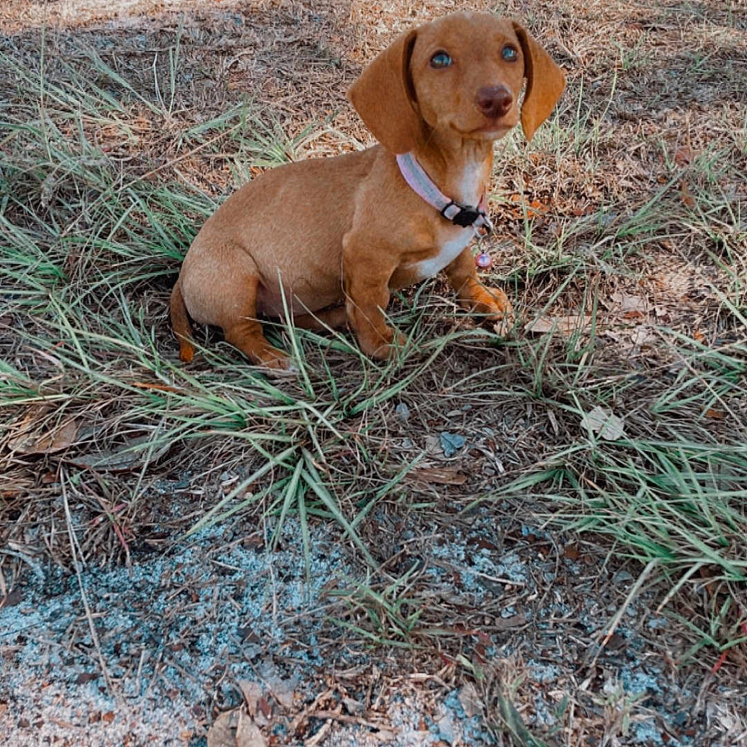 Winnie