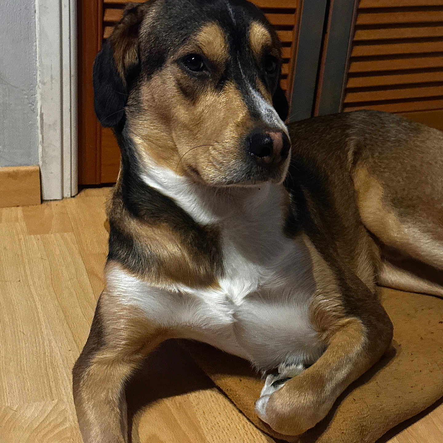 Marley