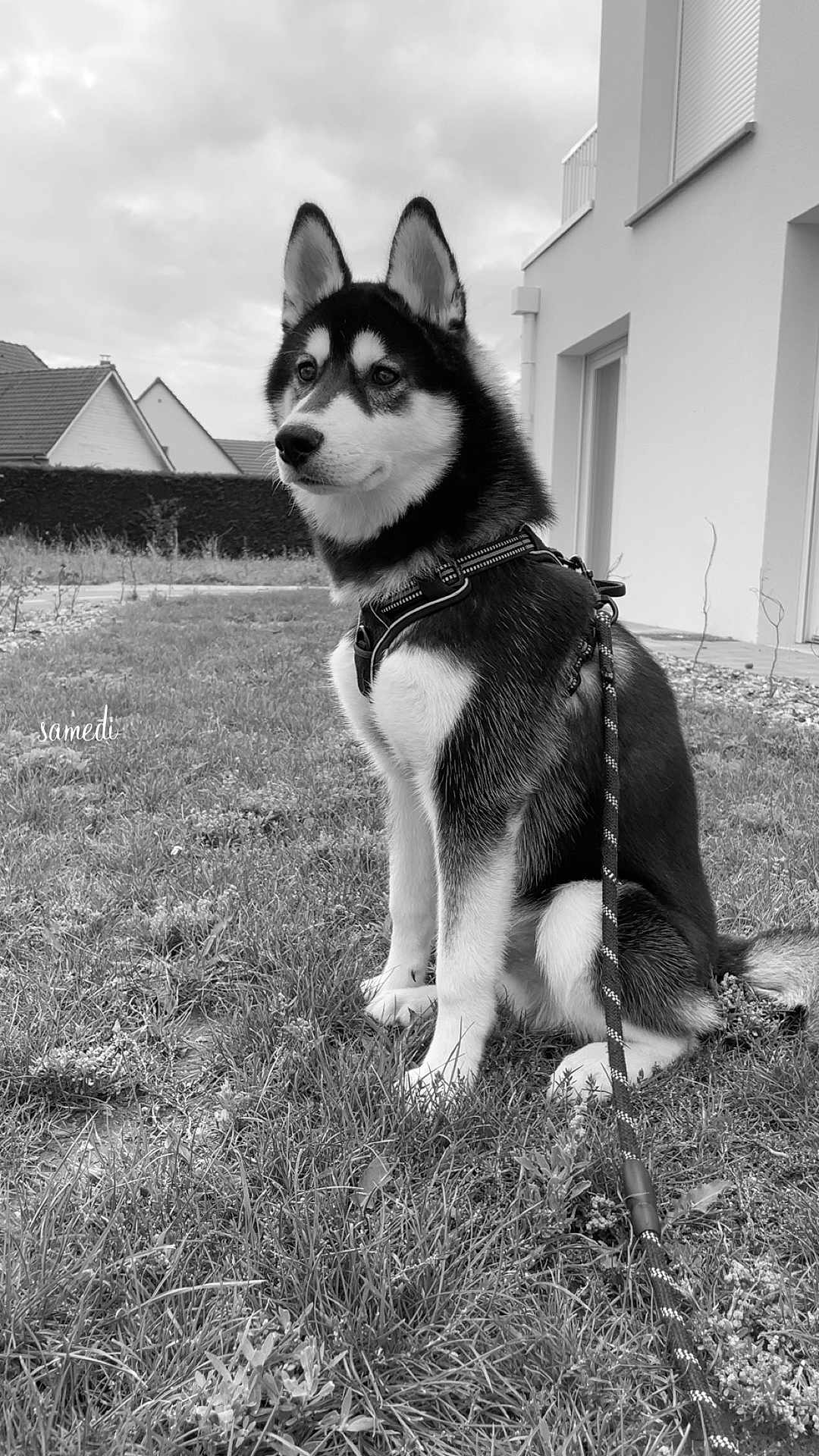 Ato