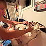 Harper is registered to the contest to win money with this photo: dog, person, bed, blanket, indoor, playful, paws, wall_art, window, collar, smile, furniture, human_arm, curtain, door, shelf, books, room, happy, interaction