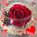 Annick D.