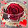 Annick D.