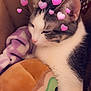animal, blanket, cardboard_box, cat, close_up, cozy, cute, filter, indoor, pet, pink_hearts, plush_toy, relaxed, resting, sleepy, soft_texture, tabby, taco_toy, whiskers, white_fur
