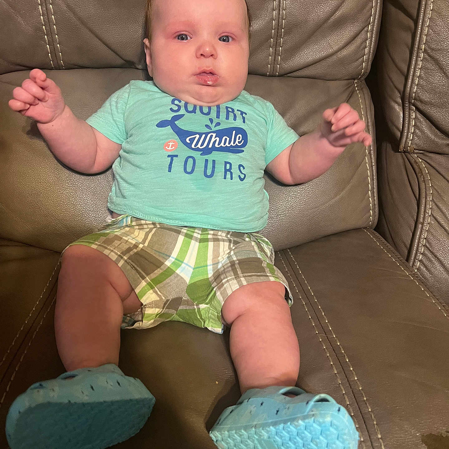 Dexter joined the competition — help win amazing prizes! baby, bodypart, chair, clothing, couch, cushion, face, finger, footwear, furniture, hand, head, homedecor, person, photography, portrait, shoe, shorts, sitting, t_shirt