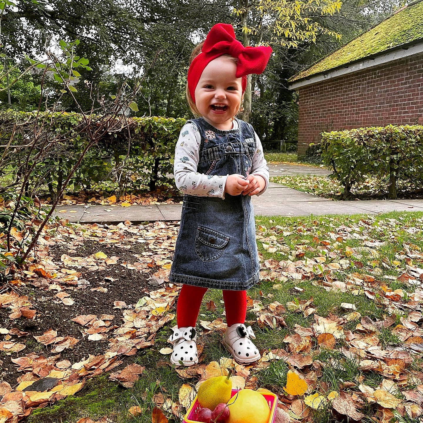 Simina Emilia is registered to the contest to win money with this photo: baby_toddler_clothing, botany, calabaza, cucurbita, face, gourd, grass, happy, headwear, human_body, leaf, natural_foods, orange, people_in_nature, person, plant, pumpkin, smile, squash, toddler