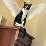 cat, cozy, curious, domestic, framed_art, furniture, halo, high_angle, indoor, looking_down, paw, perched, pet, portrait, sign, tail, tuxedo_cat, wall, wings, wooden_dresser