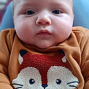 émilio participe au concours pour gagner de l'argent avec cette photo : baby, child, face, sweater, fox, cute, hands, blue_eyes, indoor, closeup, portrait, soft_lighting, cozy, expression, infant, person, clothing, warm_colors, cute_animal, young