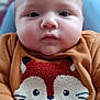 baby, child, face, sweater, fox, cute, hands, blue_eyes, indoor, closeup, portrait, soft_lighting, cozy, expression, infant, person, clothing, warm_colors, cute_animal, young