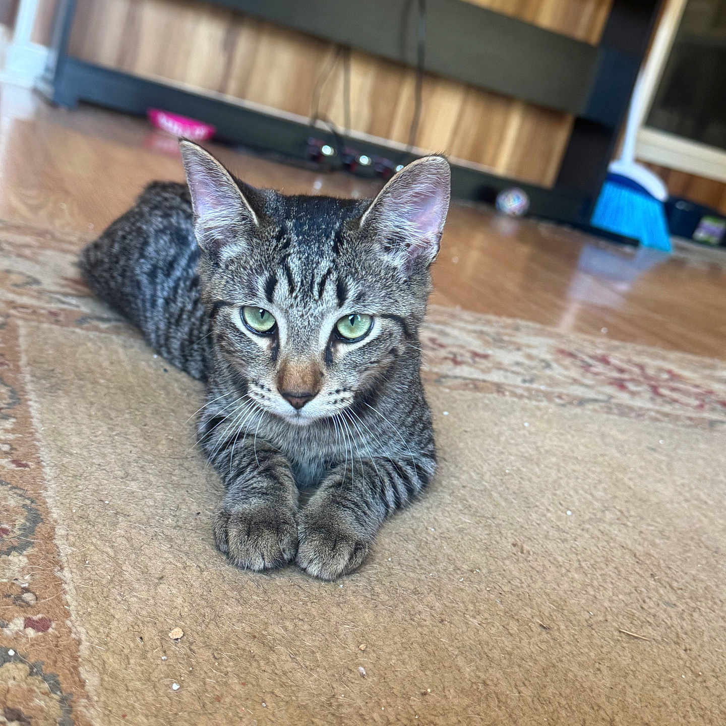 Tigger