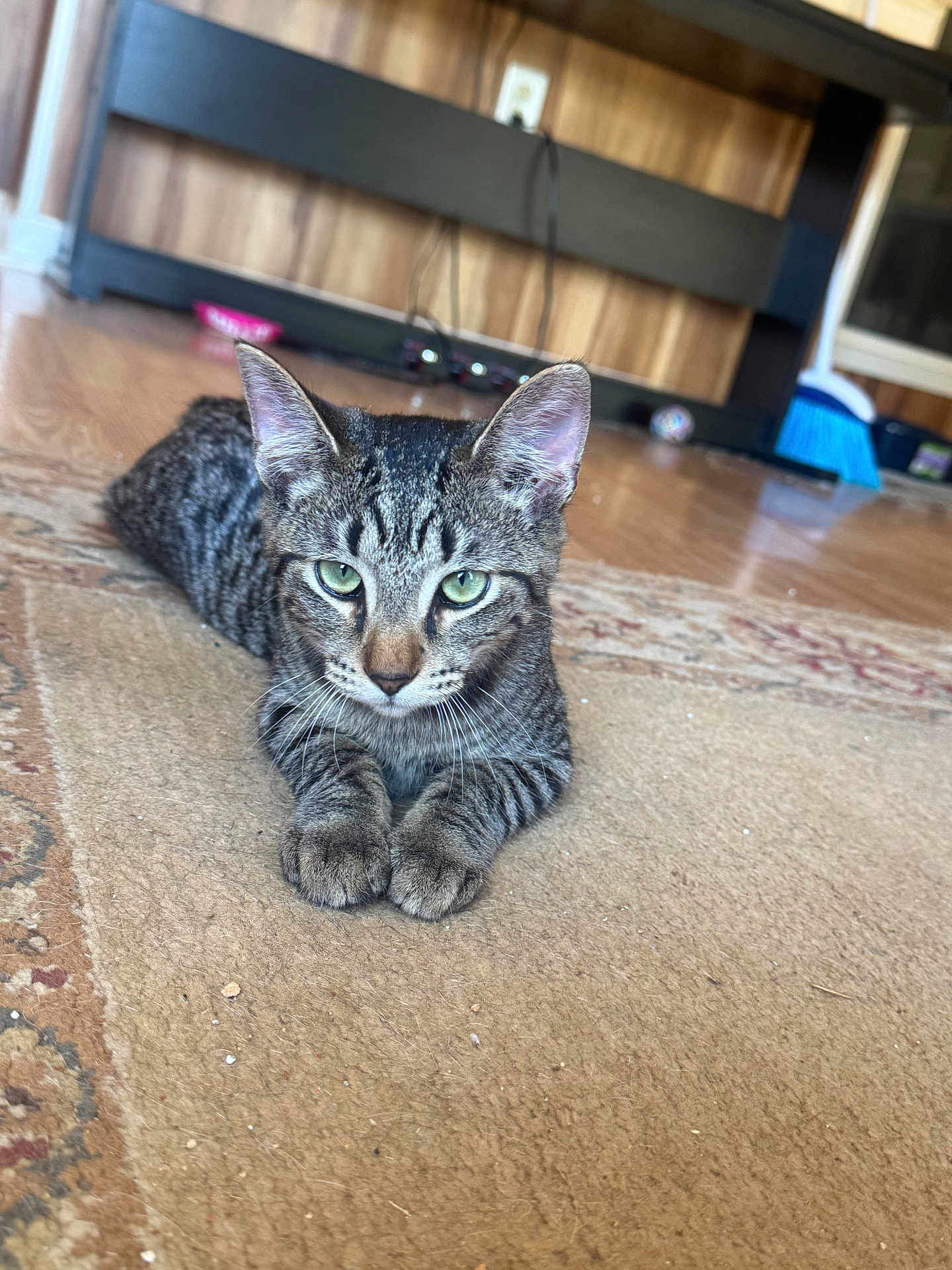 Tigger