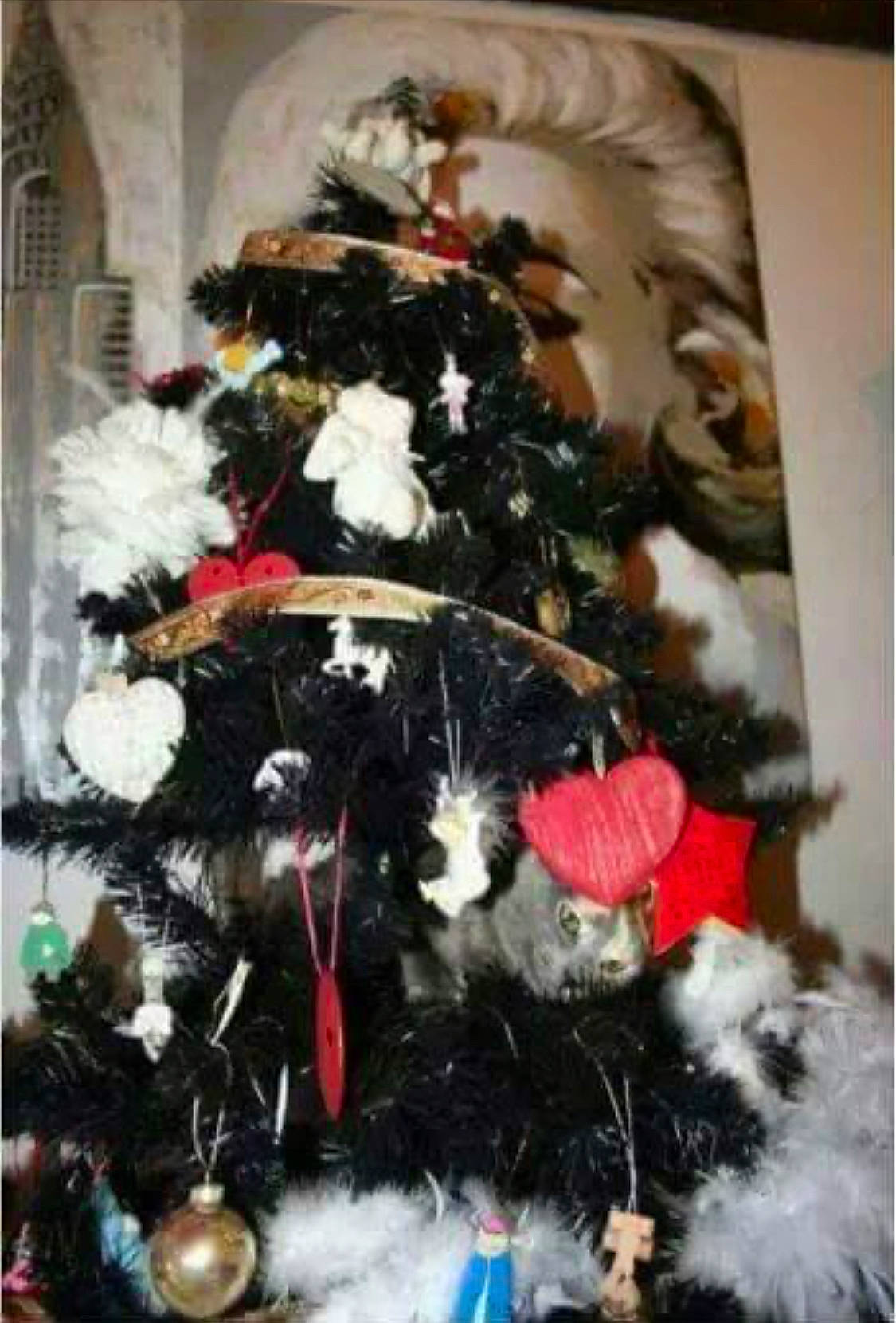 Bouboule a rejoint le concours — aidez-le/la à gagner de superbes lots ! christmas, christmas_decoration, christmas_eve, christmas_lights, christmas_ornament, christmas_tree, conifer, event, evergreen, fir, holiday, holiday_ornament, interior_design, natural_material, ornament, pine, pine_family, toy, tradition