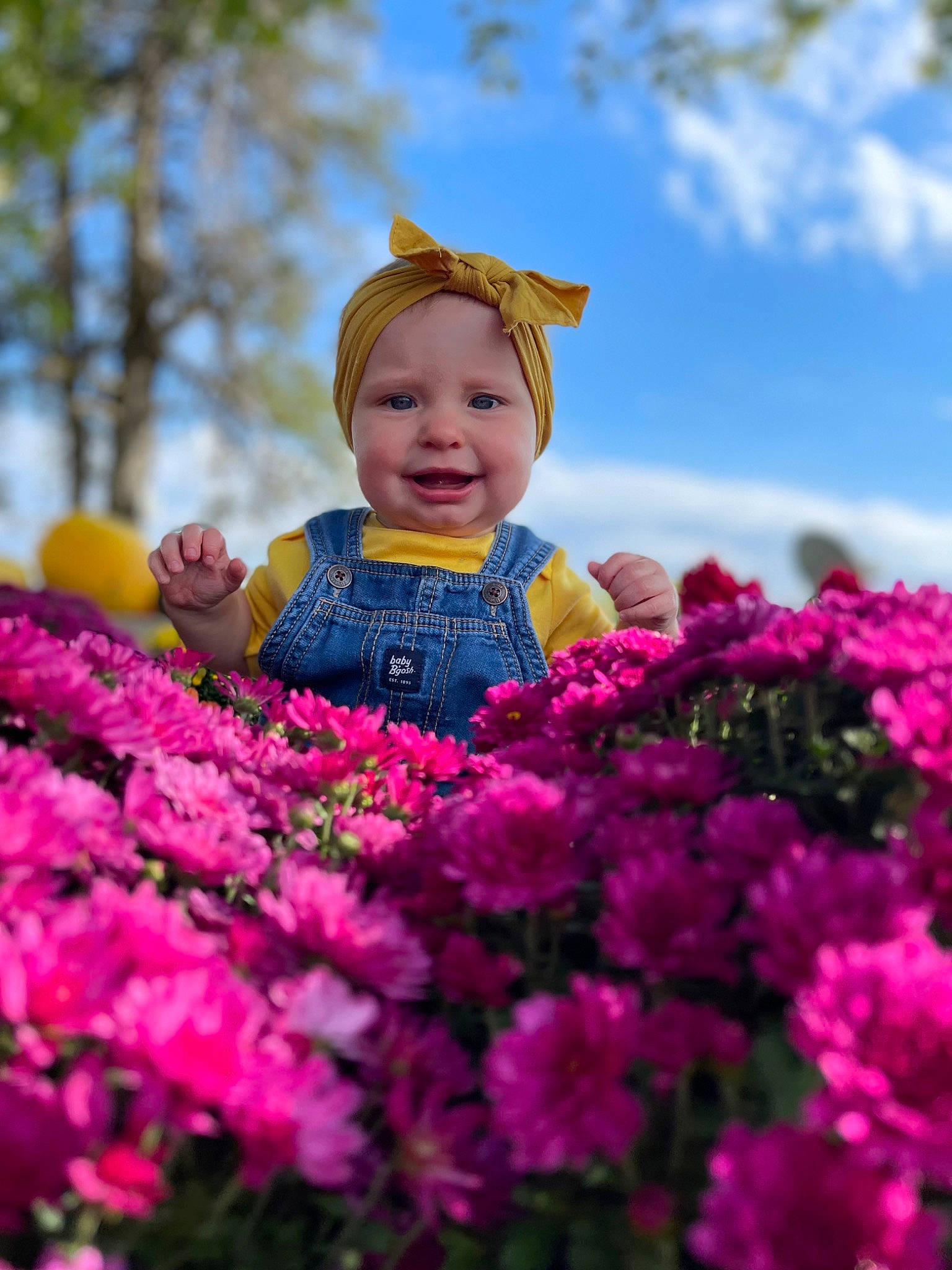 Veyda is registered to the contest to win money with this photo: annual_plant, baby, baby_toddler_clothing, cloud, flower, flowering_plant, grass, happy, headwear, joy, leisure, magenta, nature, people_in_nature, person, petal, pink, plant, shrub, sky