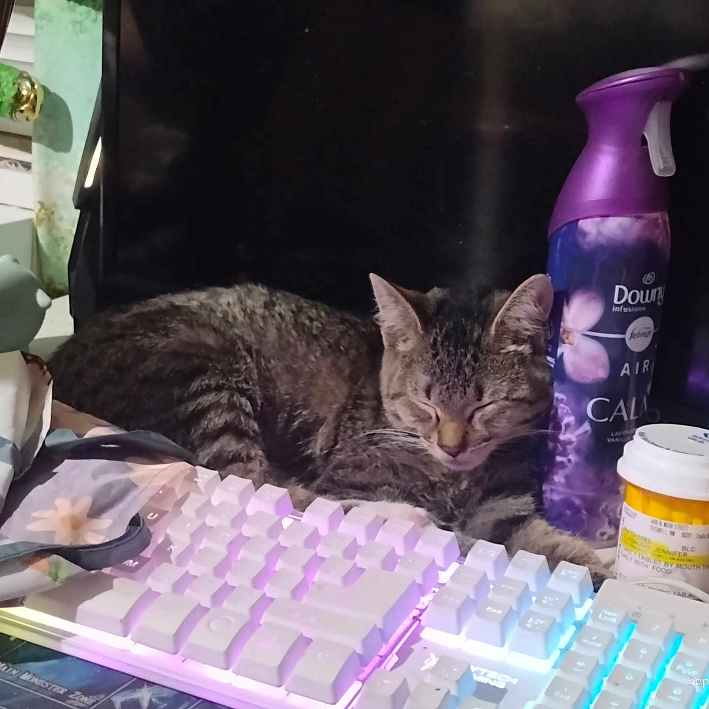 Sasha joined the competition — help win amazing prizes! air_freshener, cat, clutter, colorful, computer_accessories, cozy, desk, electronics, feline, home_office, indoor, keyboard, pet, pill_bottle, resting, rgb_lighting, scarf, sleeping, still_life, tabby