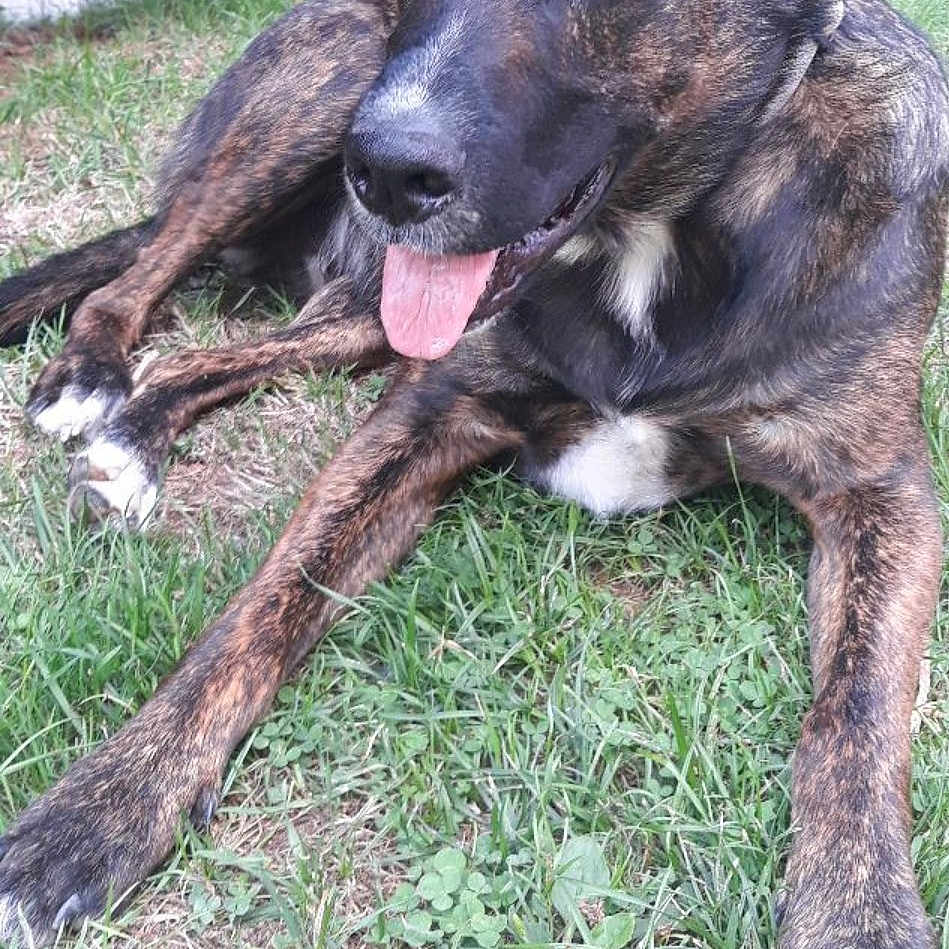 Sam