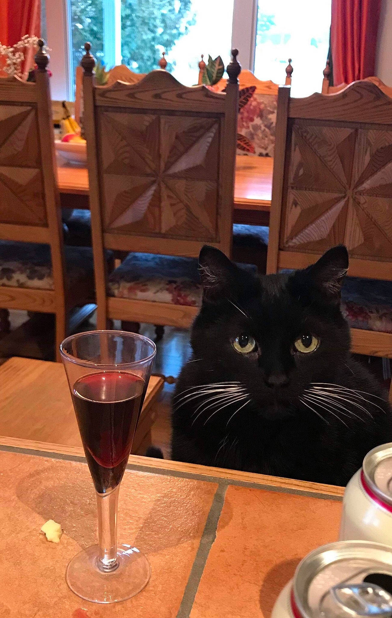 Lucien a rejoint le concours — aidez-le/la à gagner de superbes lots ! alcoholic_beverage, barware, carnivore, cat, chair, champagne_stemware, drink, drinkware, felidae, flooring, furniture, glass, hardwood, stemware, table, tableware, whiskers, wine, wine_glass, wood