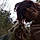 Alexandra P.