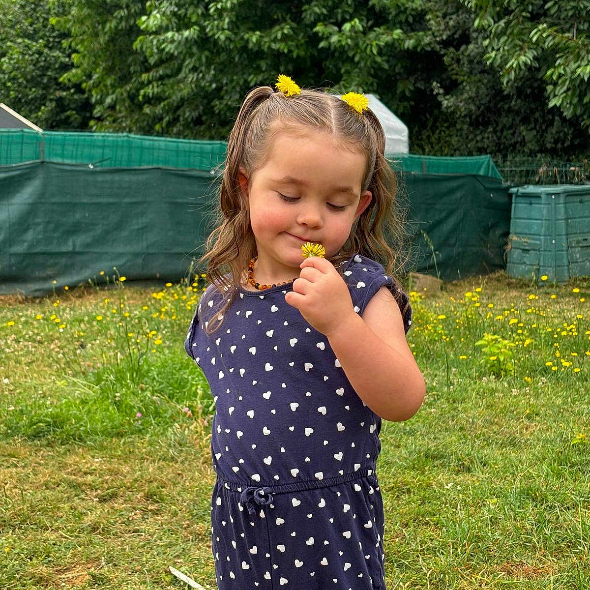 Yléana a rejoint le concours — aidez-le/la à gagner de superbes lots ! blue_clothing, child, cute, dandelion, flower, garden, girl, grass, greenery, hair, nature, outdoor, patterned_clothing, peaceful, pigtails, playful, portrait, smiling, summer, young
