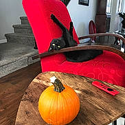 Aurora joined the competition — help win amazing prizes! black_cat, cat, red_chair, pumpkin, wooden_table, remote_control, stairs, carpet, flower_vase, wall_art, home_interior, wood_floor, relaxed_cat, stretching, furniture, indoor, decor, funny_pose, pet, cozy