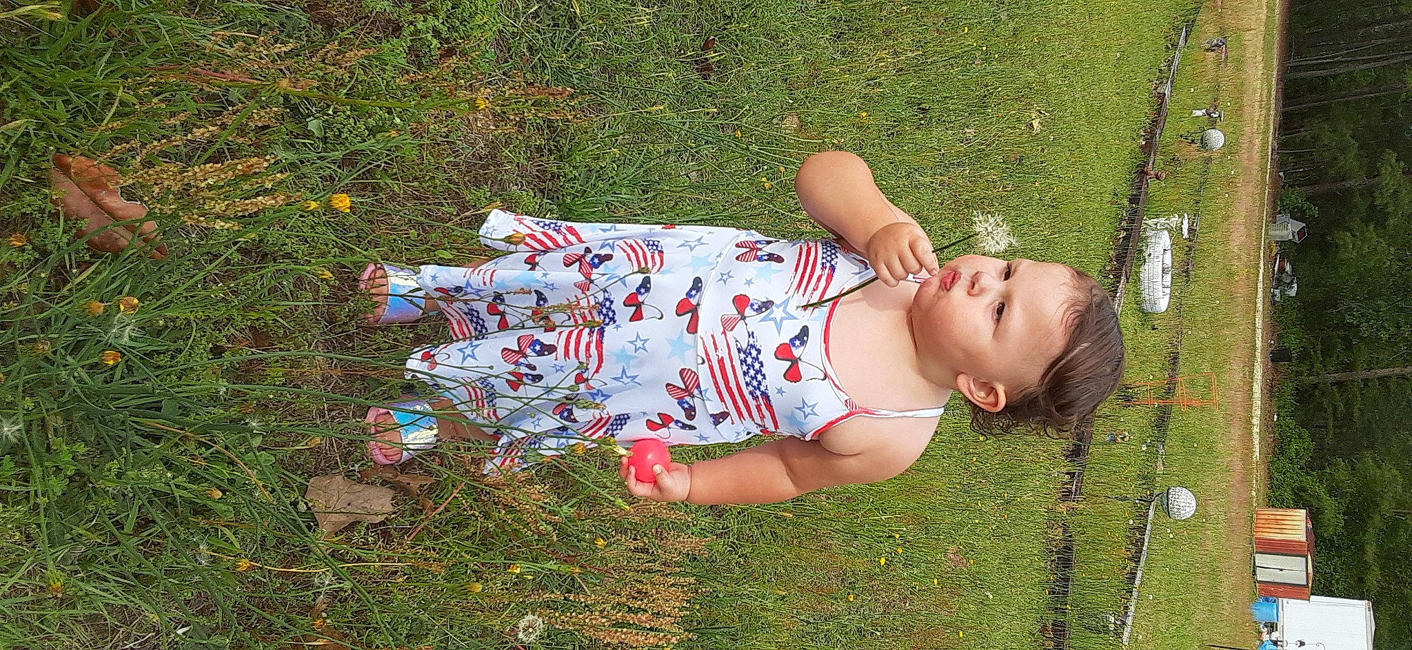 Alexis joined the competition — help win amazing prizes! child, day_dress, eyewear, flash_photography, fun, grass, grass_family, grassland, happy, human_body, human_leg, lawn, leisure, meadow, pattern, people_in_nature, person, plant, prairie, sitting