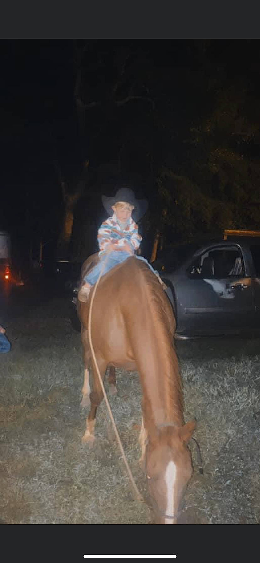 Jackson James joined the competition — help win amazing prizes! automotive_lighting, barechested, bridle, chest, dog_breed, electric_blue, fawn, horse, horse_supplies, horse_tack, human_leg, midnight, pack_animal, person, personal_protective_equipment, recreation, rein, snout, tail, thigh