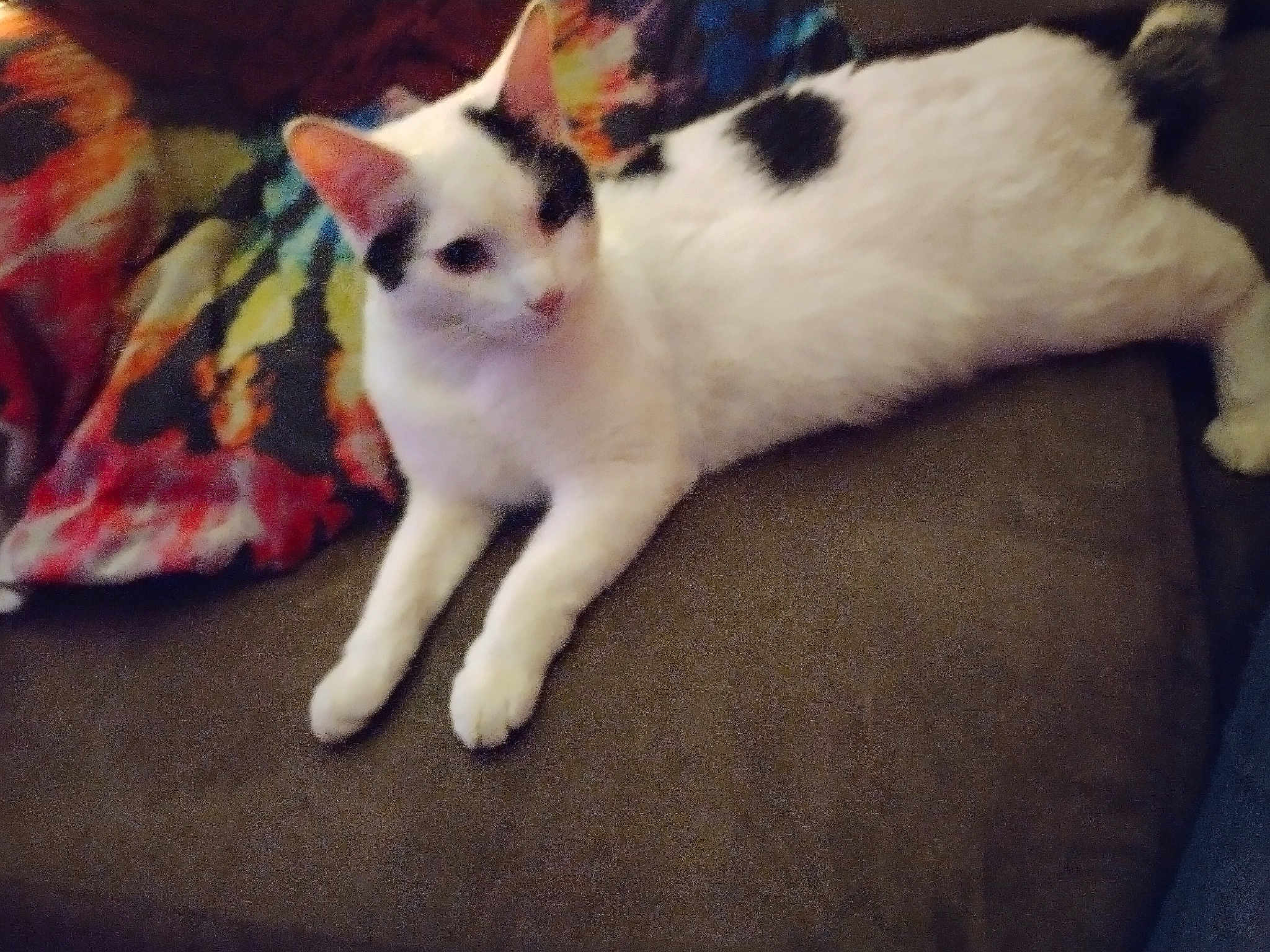 Pebbles