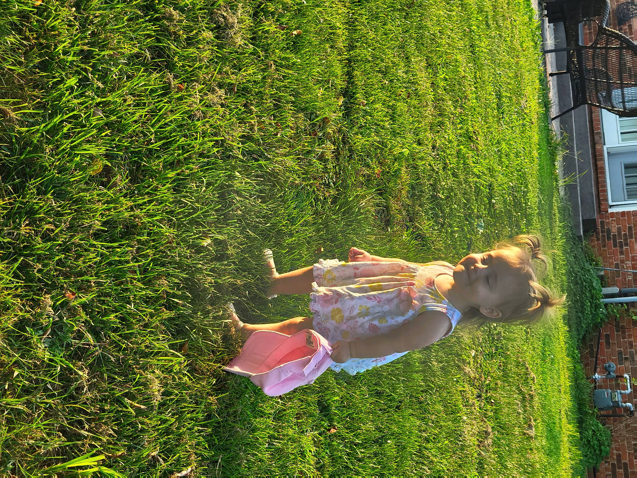 Molly joined the competition — help win amazing prizes! backyard, botany, fun, garden, grass, grass_family, green, groundcover, happy, joy, lawn, leisure, nature, people_in_nature, person, plant, recreation, shrub, tree, vegetation