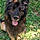 Arko