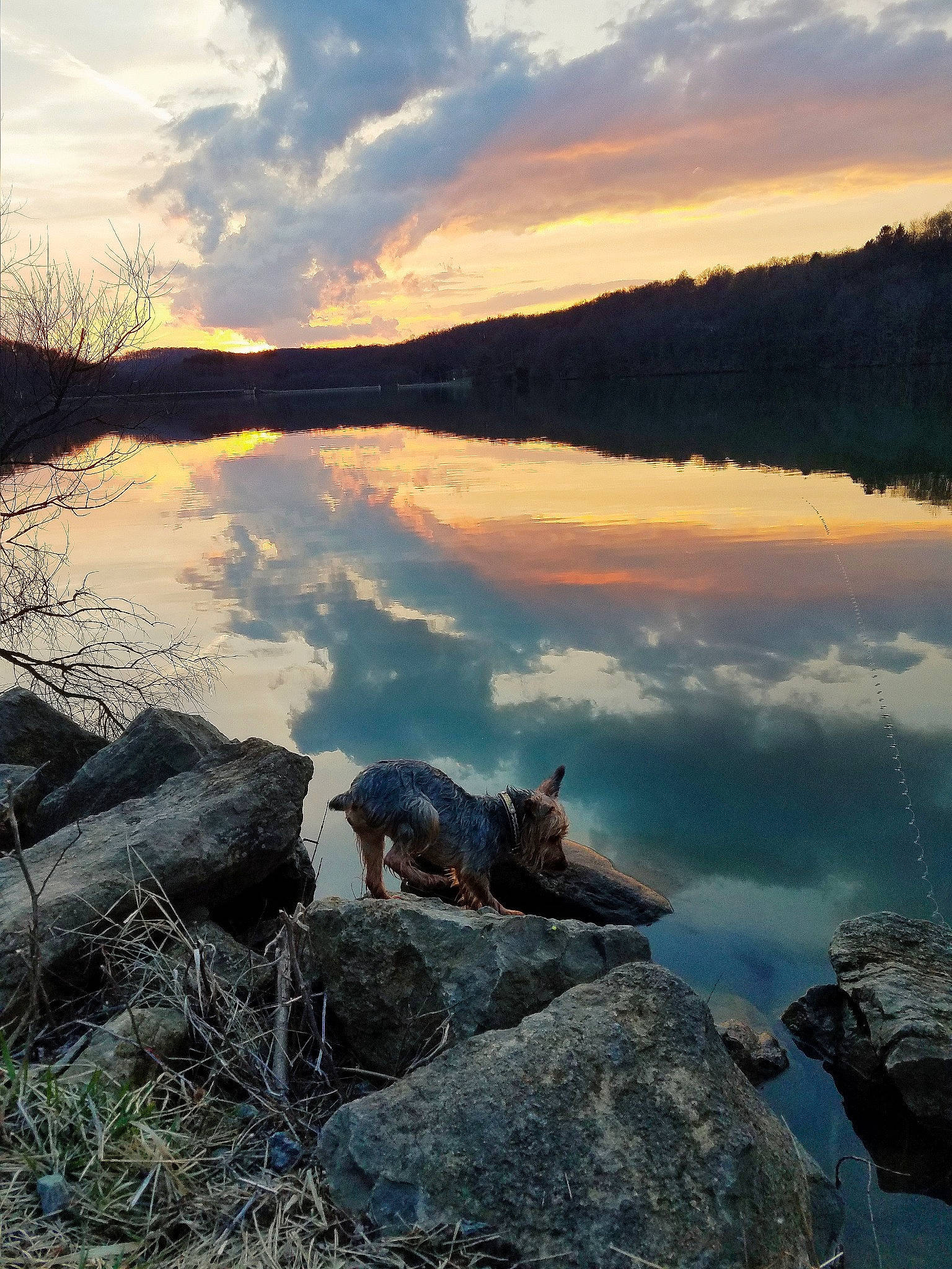 Elton joined the competition — help win amazing prizes! atmosphere, body_of_water, calm, cloud, horizon, lake, loch, morning, natural_landscape, nature, reflection, rock, sea, shore, sky, sunset, tree, water, wilderness, wood