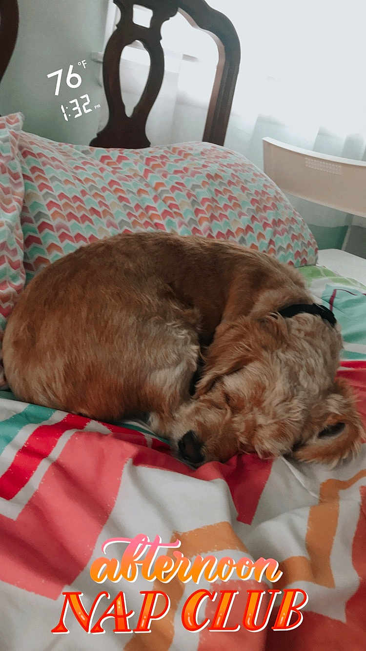 Baxter