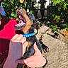 puppy, dog, person, hands, collar, outdoor, sunlight, garden, path, shadow, black_and_tan, mouth_open, yawning, playing, cute, pet, animal, holding, summer, happy