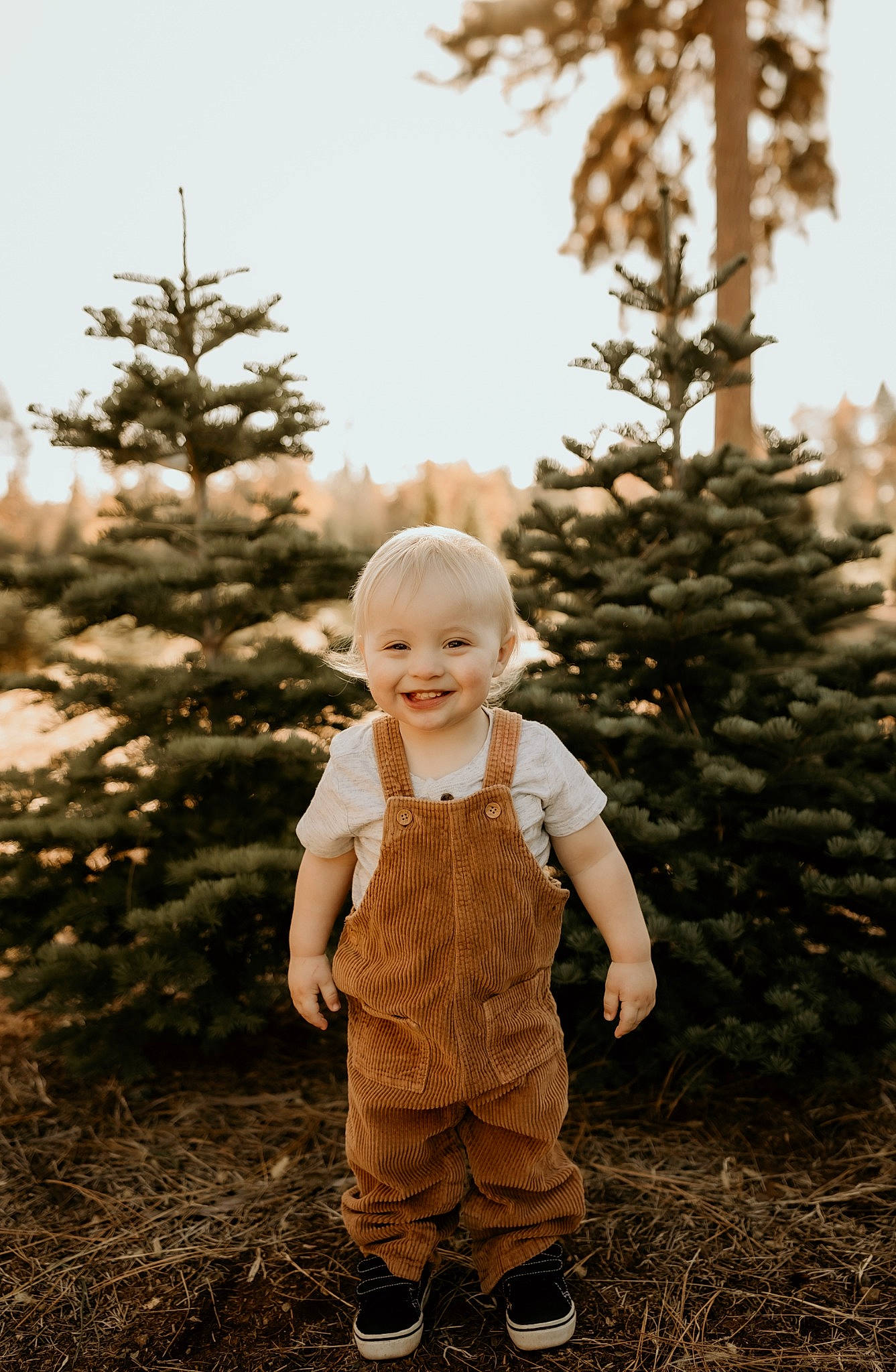 Kain is registered to the contest to win money with this photo: baby, baby_toddler_clothing, beauty, conifer, evergreen, flash_photography, fun, gesture, grass, happy, joy, landscape, leaf, people_in_nature, person, plant, sky, smile, standing, toddler