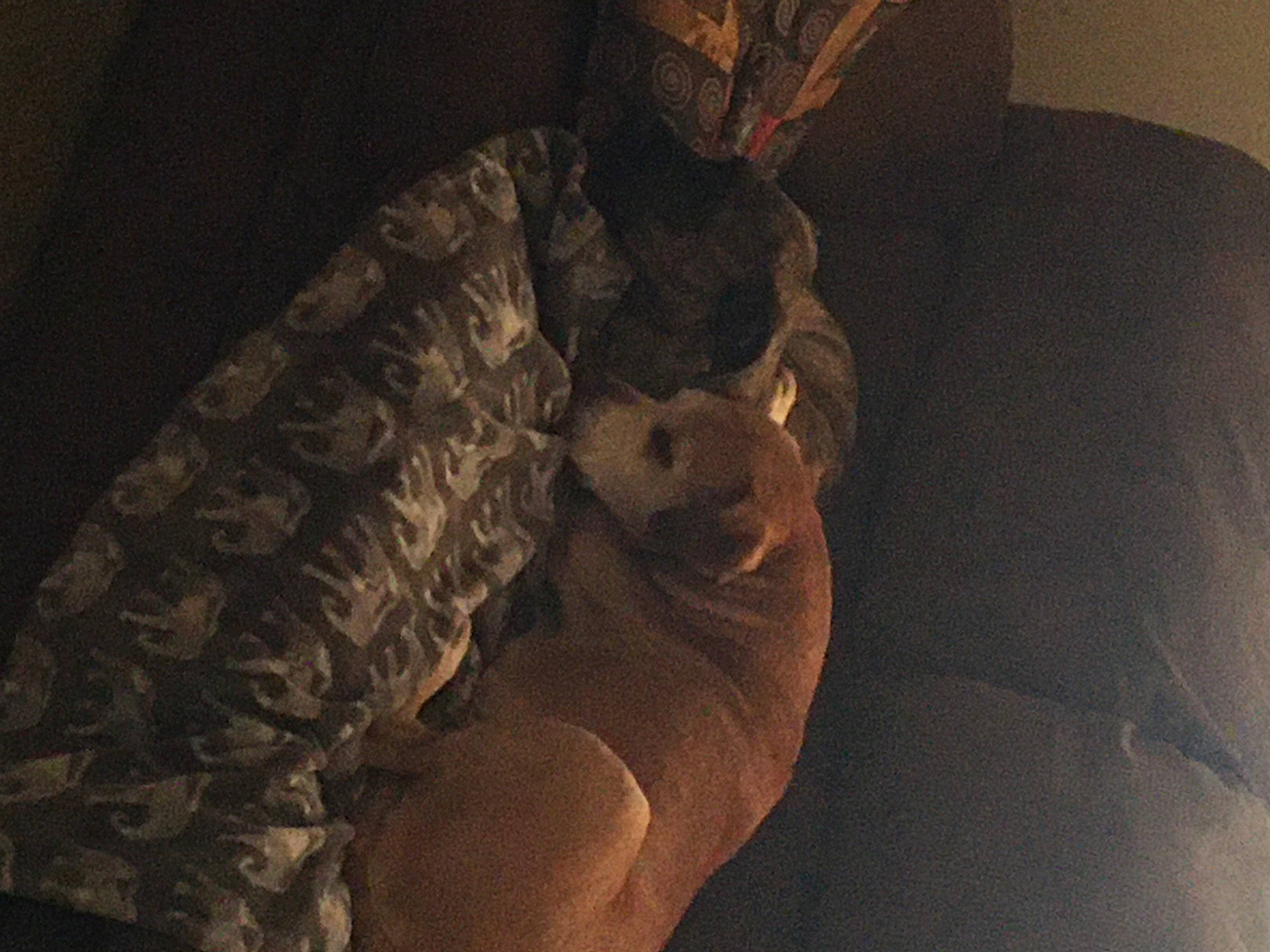 Belle is registered to the contest to win money with this photo: carnivore, cloud, comfort, companion_dog, couch, fawn, felidae, flooring, fur, human_leg, linens, small_to_medium_sized_cats, snout, tail, terrestrial_animal, thigh, tints_and_shades, trunk, whiskers, wood