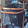 Harley is registered to the contest to win money with this photo: cat, stroller, mesh, black_and_white, pet, indoor, animal, container, curious, feline, whiskers, paws, household, furniture, fabric, zippers, light, shadow, resting, waiting