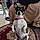 Jessie