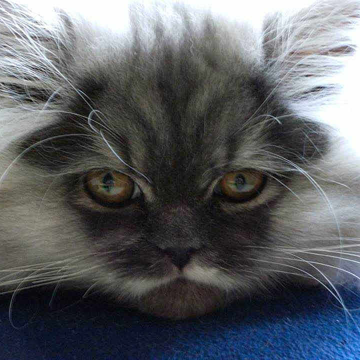 Icia a rejoint le concours — aidez-le/la à gagner de superbes lots !