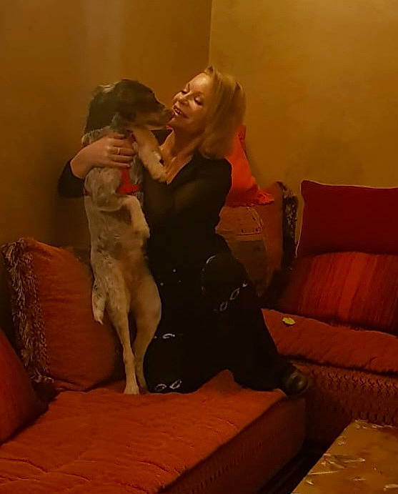 Saphir a rejoint le concours — aidez-le/la à gagner de superbes lots ! abdomen, carnivore, comfort, companion_dog, couch, dog, dog_breed, fawn, furniture, happy, human_leg, knee, leg, long_hair, room, shoulder, smile, studio_couch, thigh, trunk