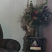 Mocoa joined the competition — help win amazing prizes! animal, armchair, book, cat, cozy, curious, decor, flowers, furniture, indoor, living_room, pet, plaid, plant, plush_toy, shadow, soft_light, table, vase, wall