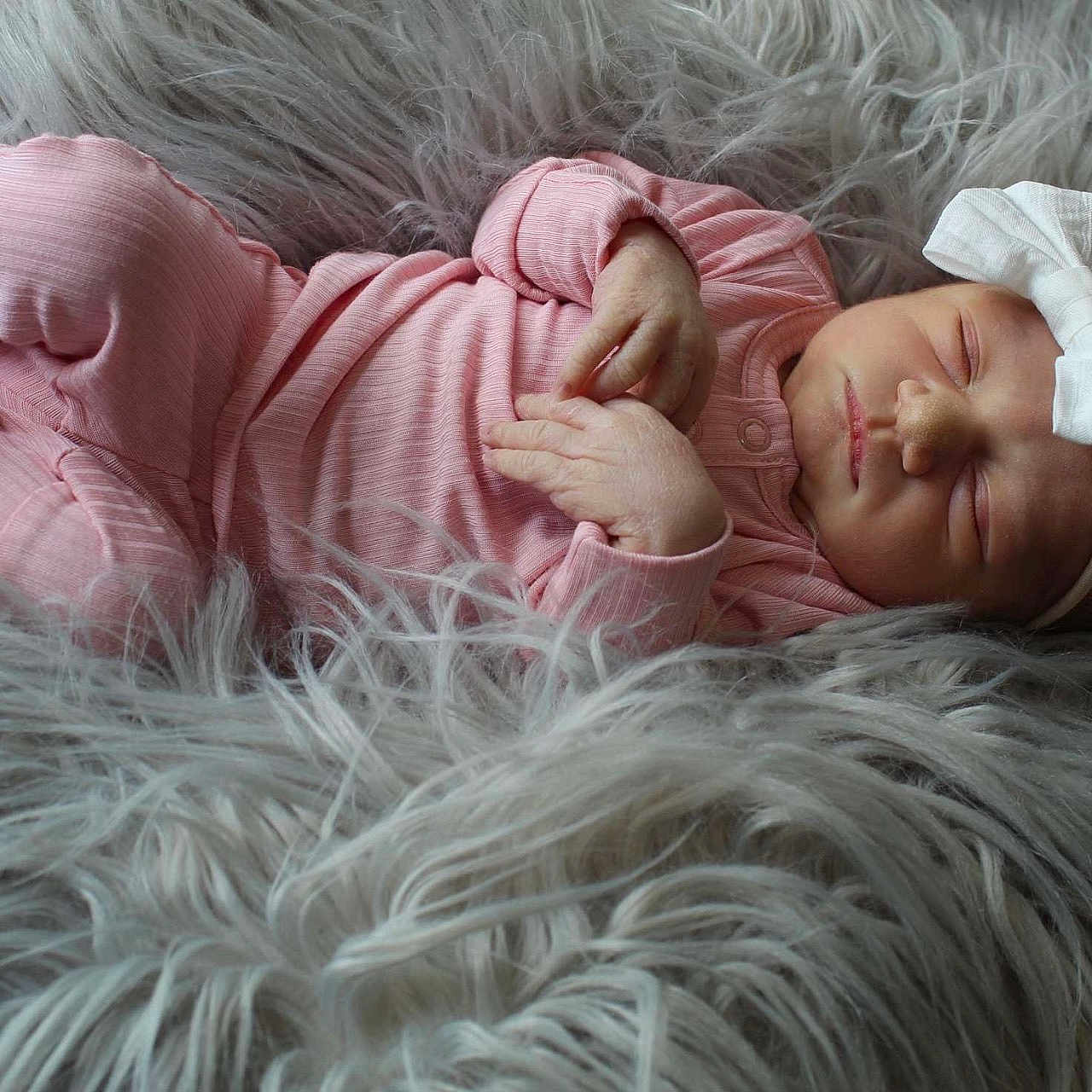 Paisley joined the competition — help win amazing prizes! animal, architecture, baby, bed, blanket, building, canine, dog, face, furniture, head, homedecor, hospital, newborn, person, pet, photography, portrait, quilt, sleeping