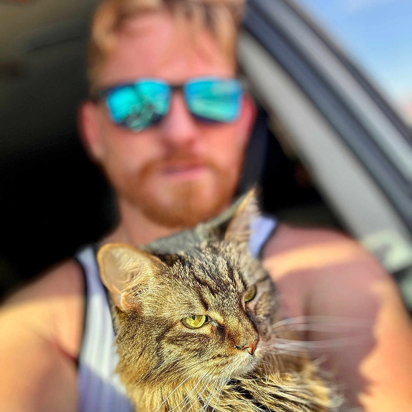 Nala joined the competition — help win amazing prizes! animal, beard, blurred_background, car_interior, cat, closeup, furry, man, outdoor_light, person, pet, portrait, reflection, summer, sunglasses, sunlight, tabby_cat, tank_top, whiskers, window