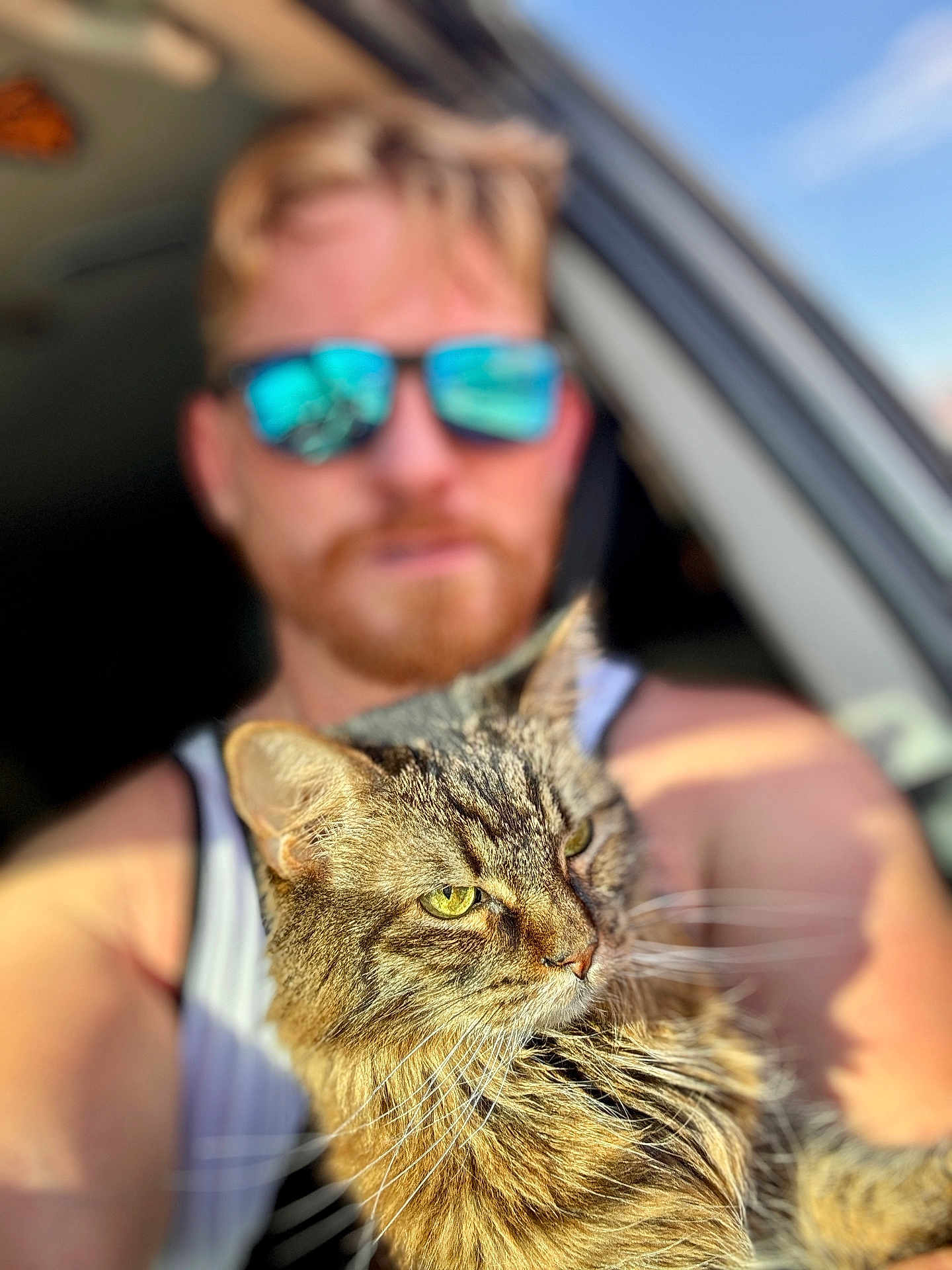 Nala joined the competition — help win amazing prizes! cat, tabby_cat, person, man, sunglasses, car_interior, sunlight, blurred_background, pet, animal, furry, whiskers, portrait, closeup, window, reflection, beard, tank_top, summer, outdoor_light