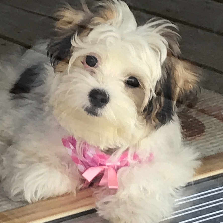 Ellie