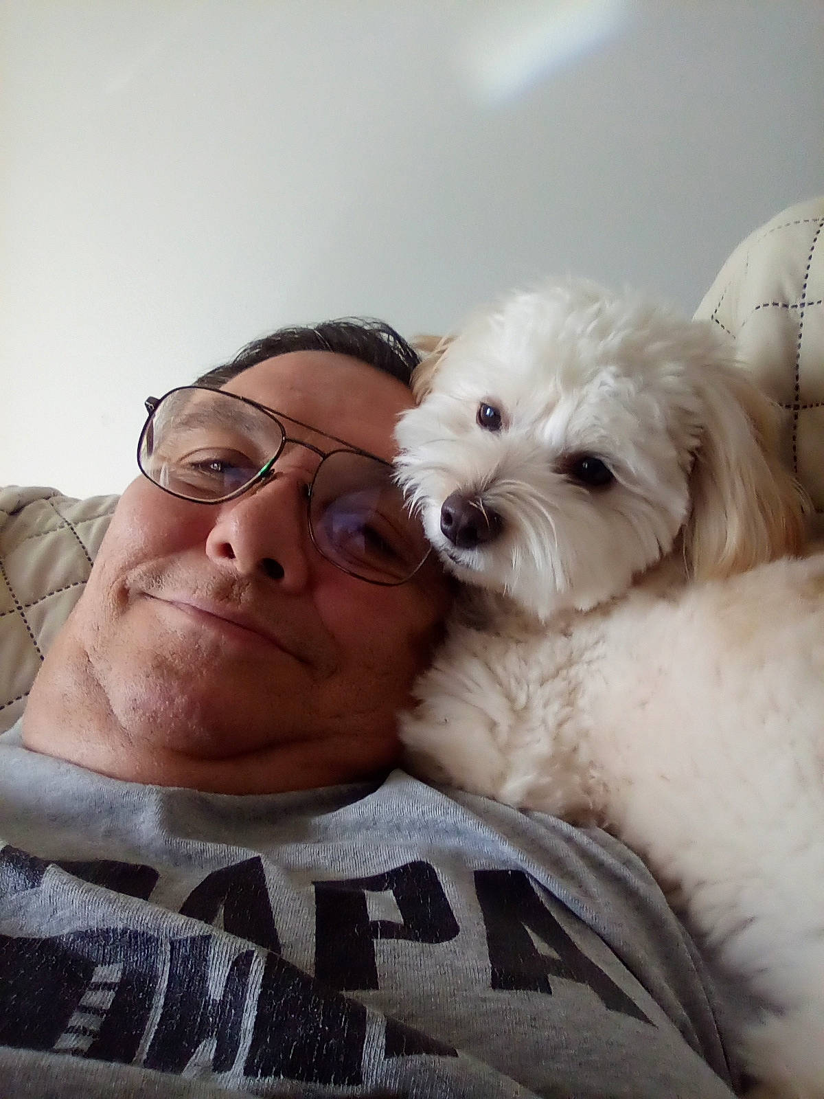 Goldie is registered to the contest to win money with this photo: canidae, carnivore, comfort, companion_dog, dog, dog_breed, eyewear, face, fur, gesture, glasses, happy, nose, puppy_love, selfie, sitting, sporting_group, sunglasses, toy_dog, vision_care