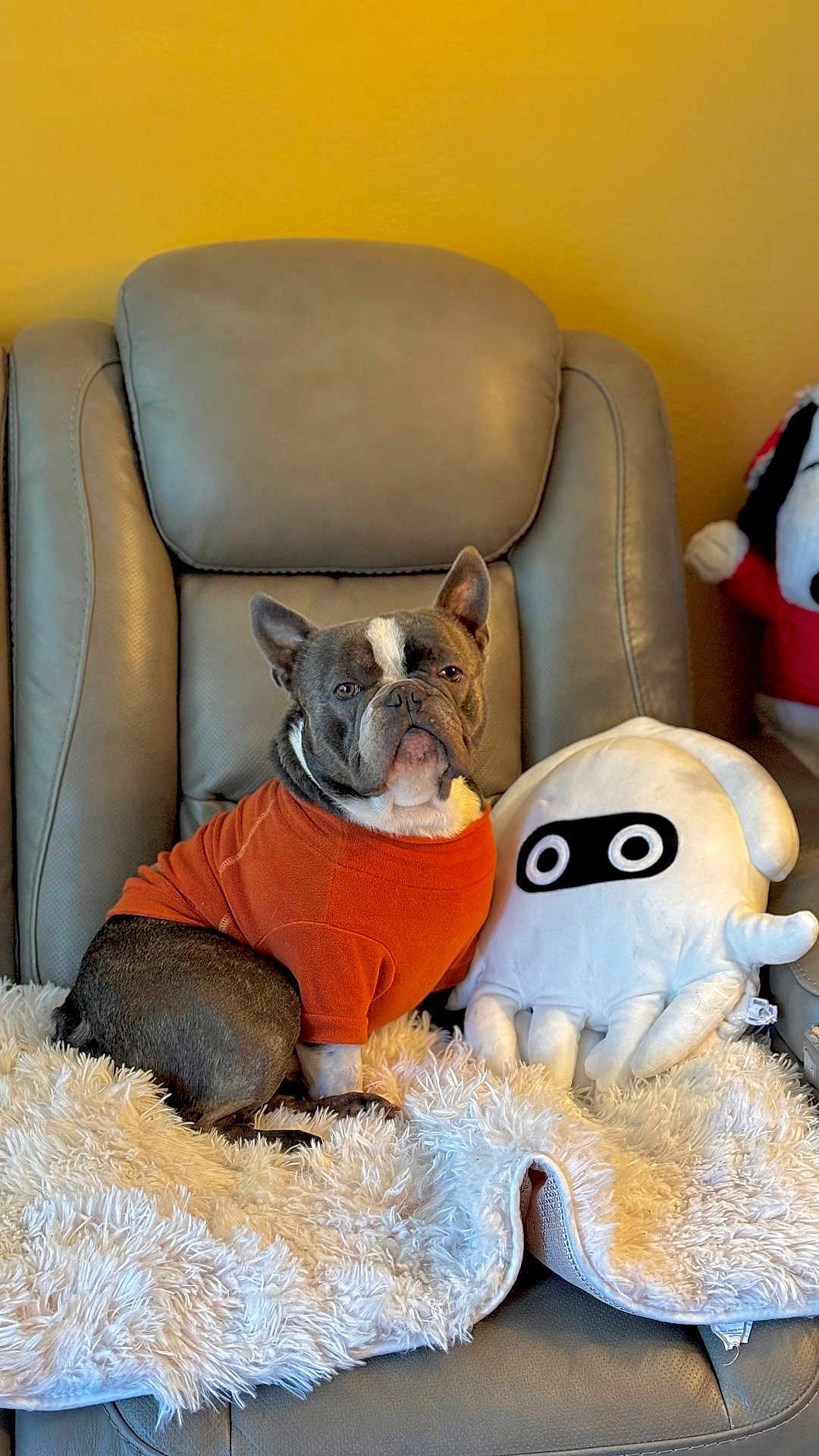 Pepe joined the competition — help win amazing prizes! dog, french_bulldog, orange_sweater, plush_toy, white_blanket, leather_chair, indoor, pet, cozy, cute, sitting, furry, animal, face, ears, toy, yellow_wall, comfort, fur, portrait